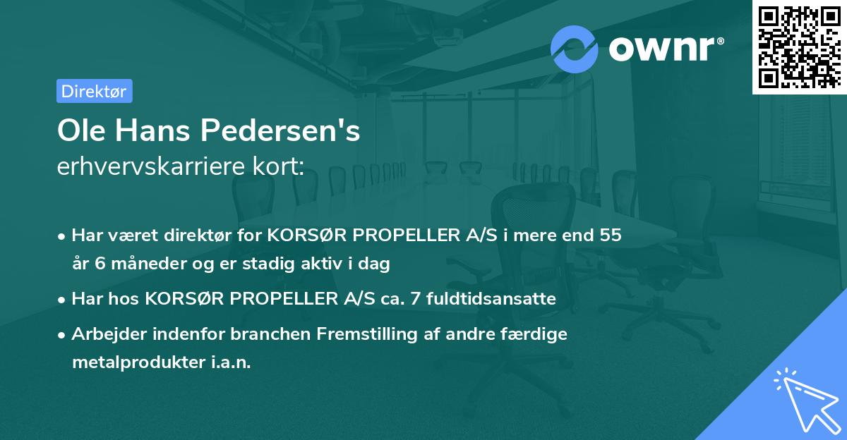 Ole Hans Pedersen's erhvervskarriere kort