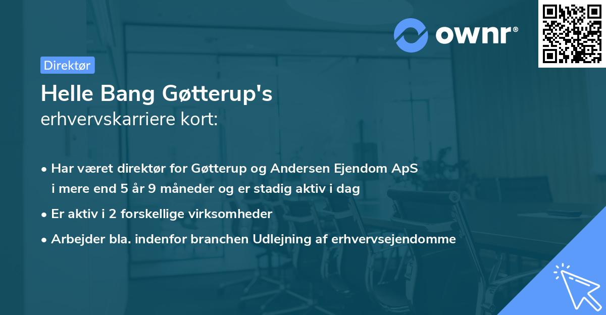 Helle Bang Gøtterup's erhvervskarriere kort