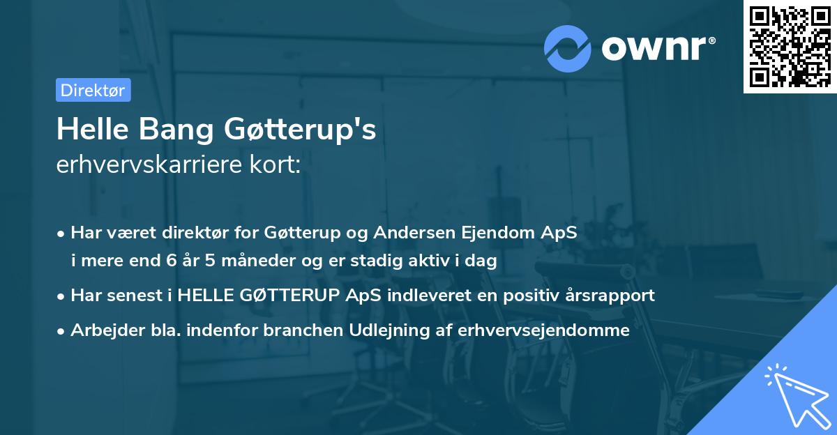Helle Bang Gøtterup's erhvervskarriere kort
