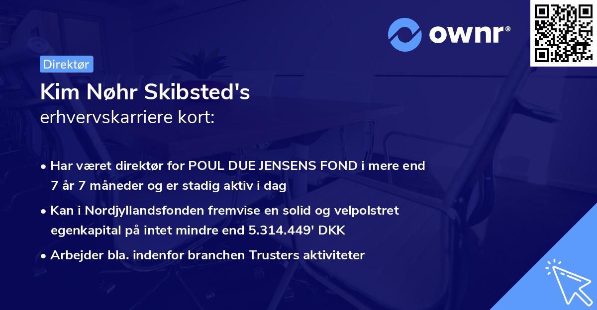 Kim Nøhr Skibsted's erhvervskarriere kort