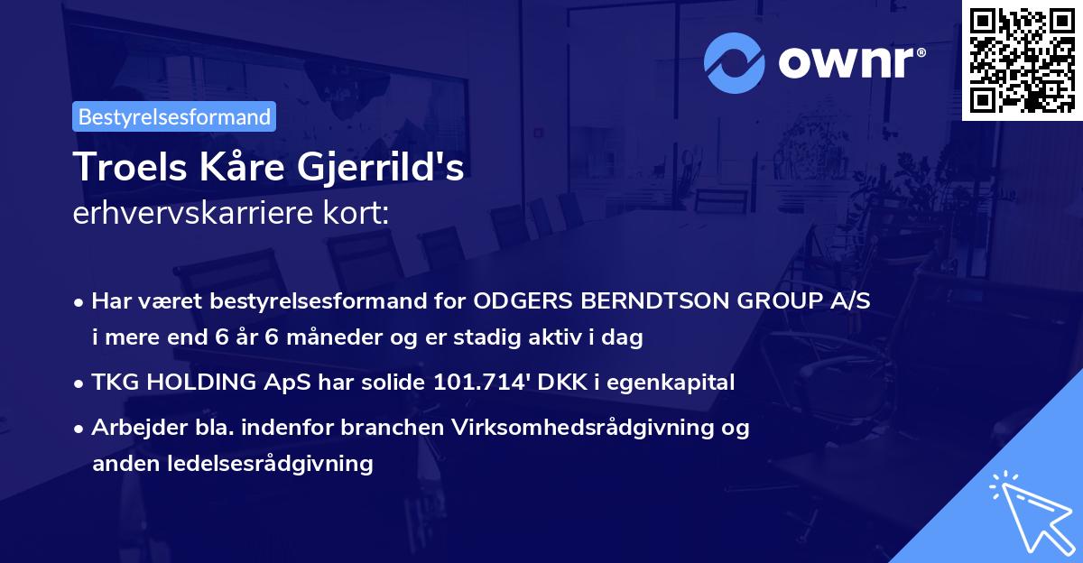 Troels Kåre Gjerrild's erhvervskarriere kort