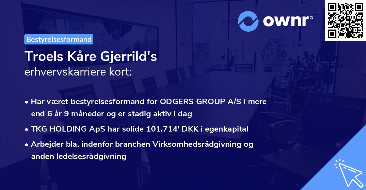 Troels Kåre Gjerrild's erhvervskarriere kort