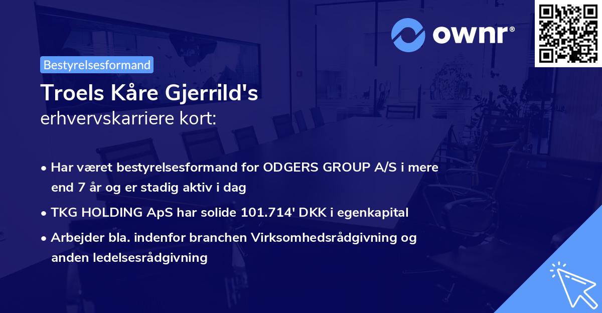 Troels Kåre Gjerrild's erhvervskarriere kort