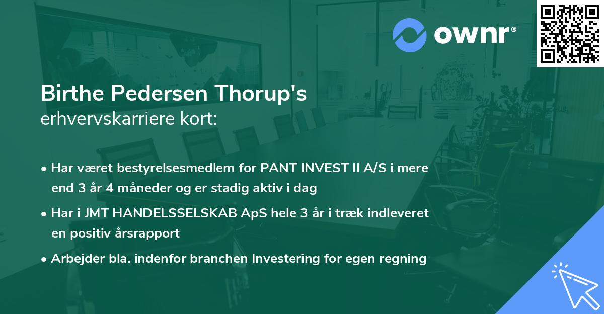 Birthe Pedersen Thorup's erhvervskarriere kort