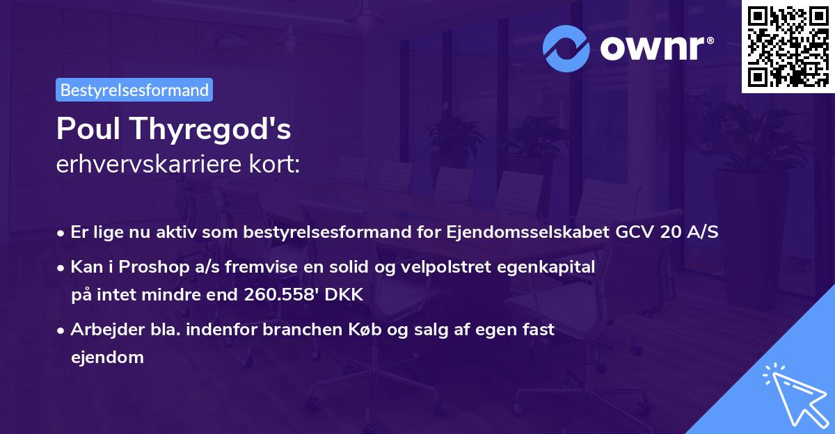 Poul Thyregod's erhvervskarriere kort