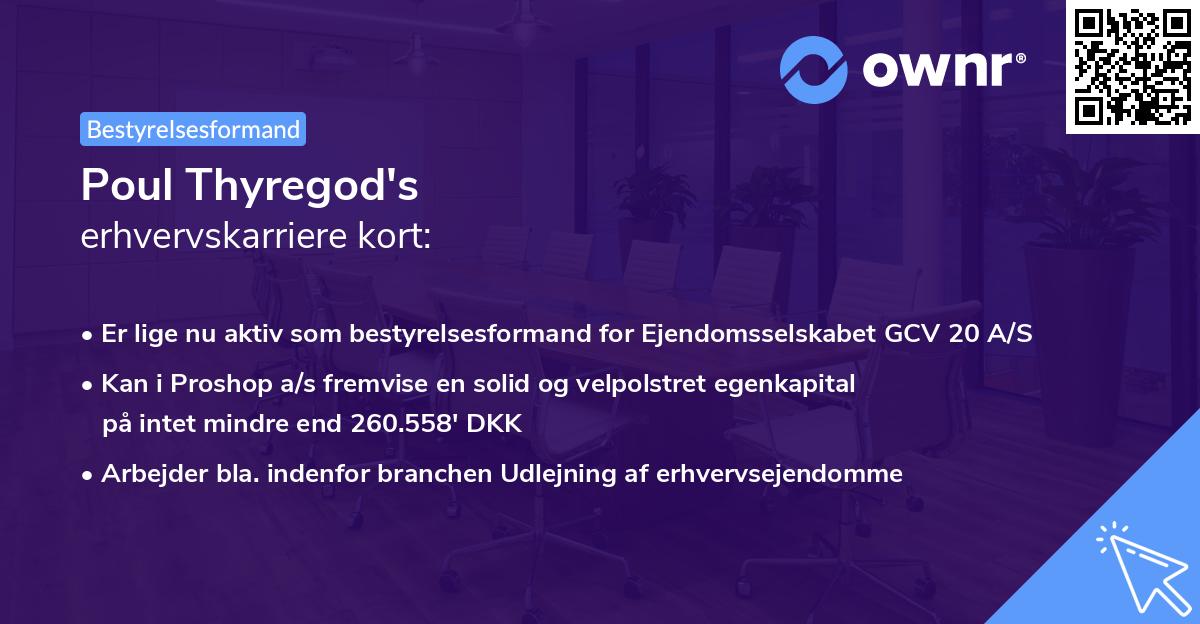 Poul Thyregod's erhvervskarriere kort