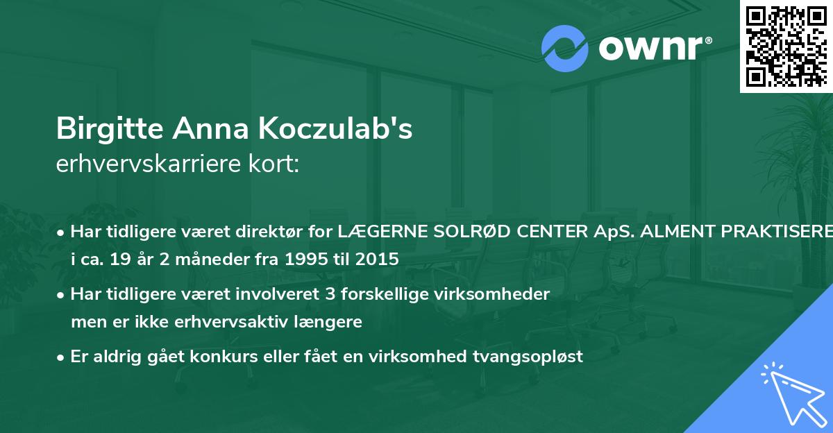 Birgitte Anna Koczulab's erhvervskarriere kort