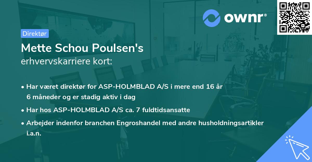 Mette Schou Poulsen's erhvervskarriere kort