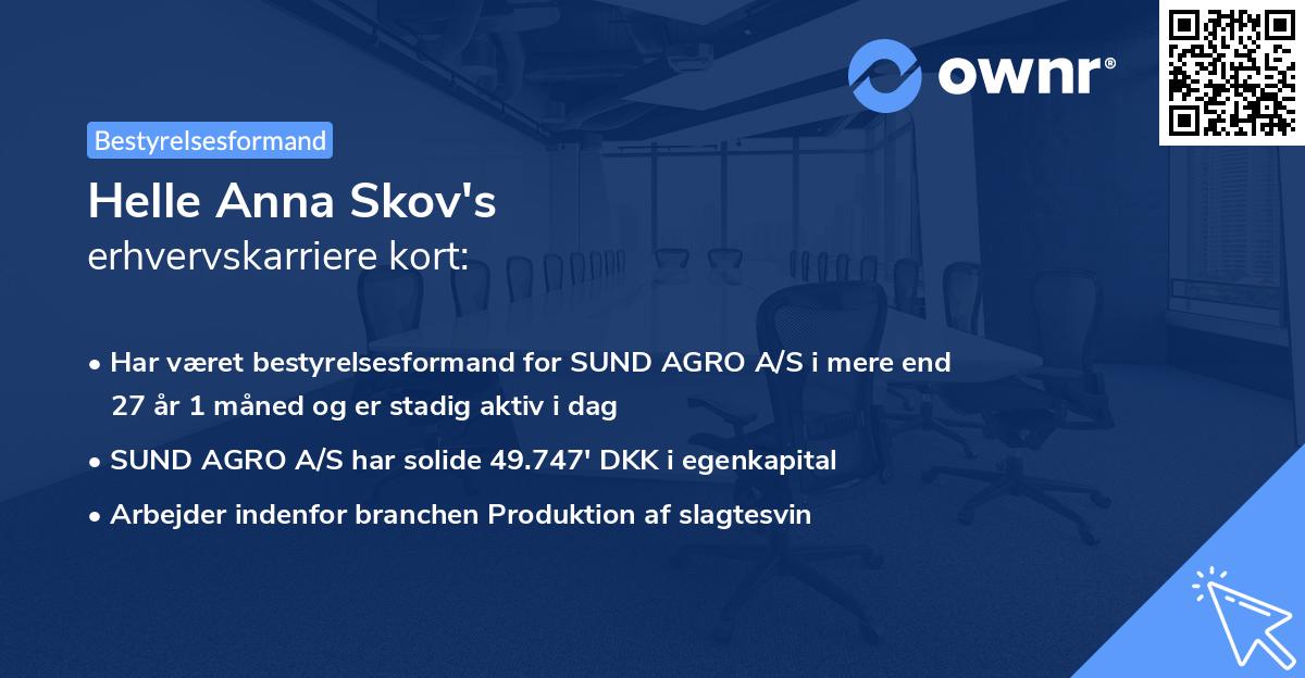 Helle Anna Skov's erhvervskarriere kort