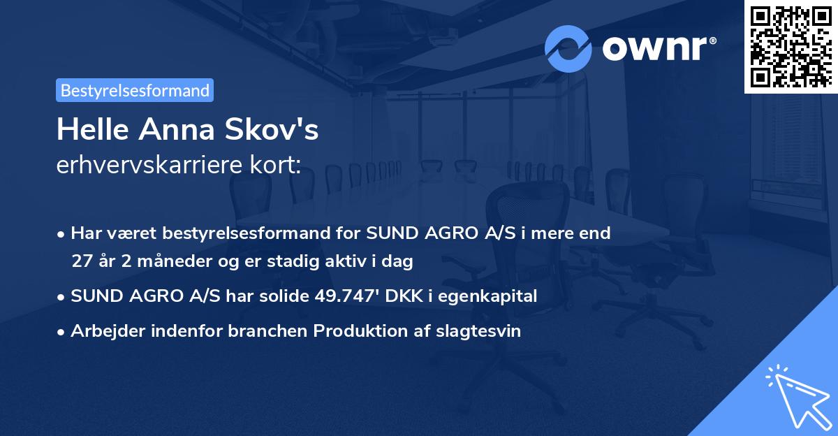 Helle Anna Skov's erhvervskarriere kort
