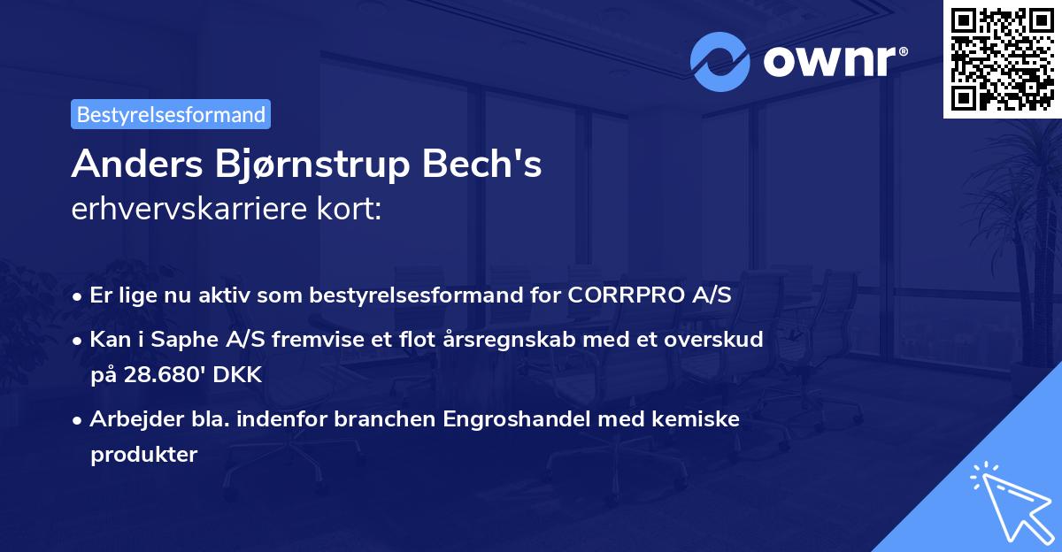 Anders Bjørnstrup Bech's erhvervskarriere kort
