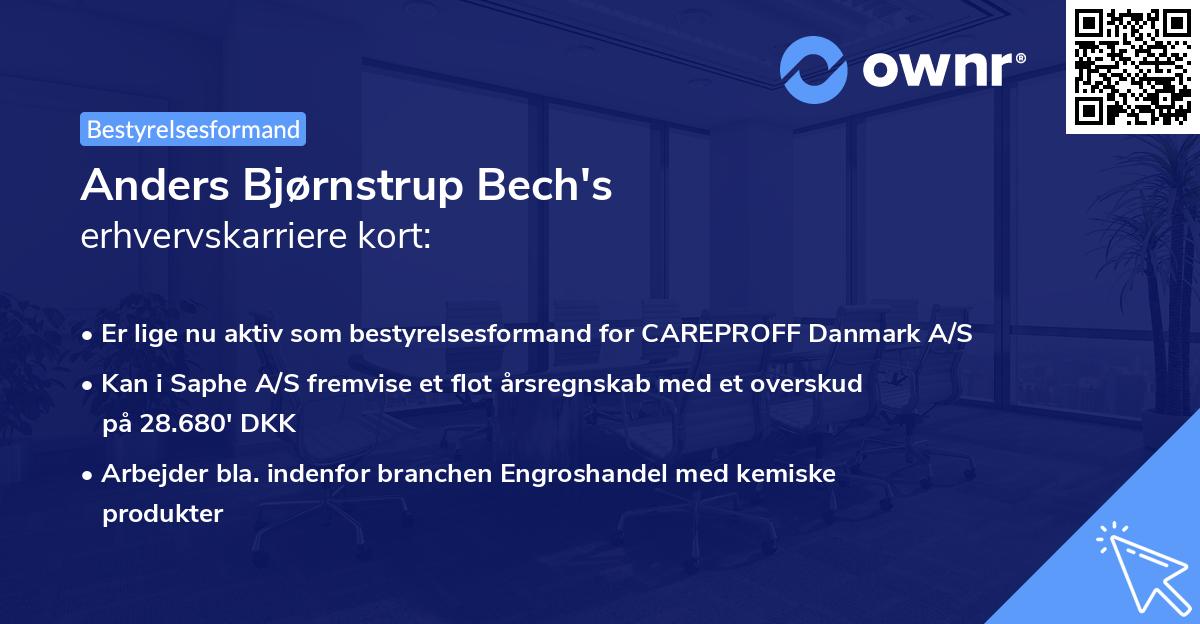 Anders Bjørnstrup Bech's erhvervskarriere kort