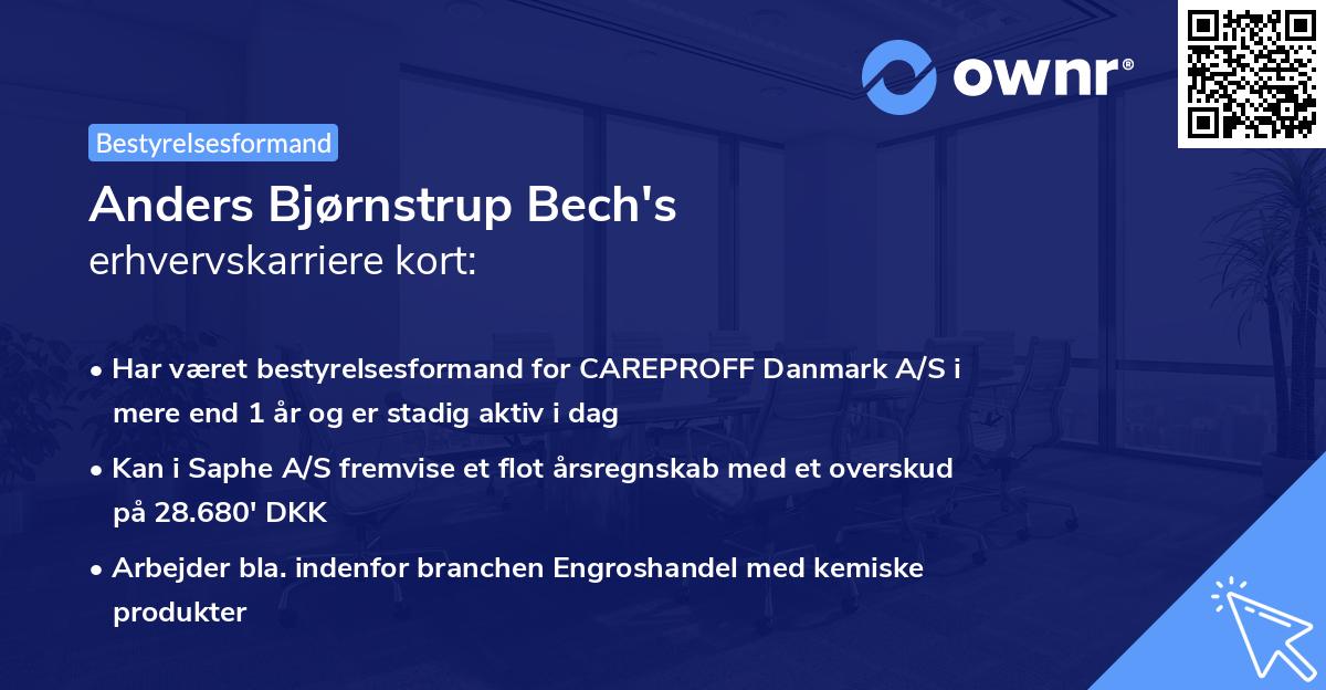 Anders Bjørnstrup Bech's erhvervskarriere kort