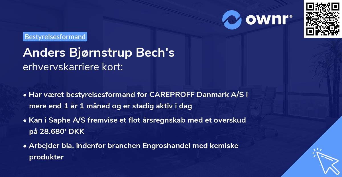 Anders Bjørnstrup Bech's erhvervskarriere kort