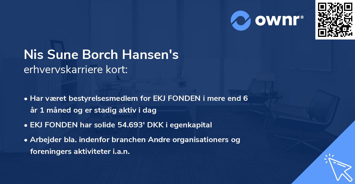 Nis Sune Borch Hansen's erhvervskarriere kort