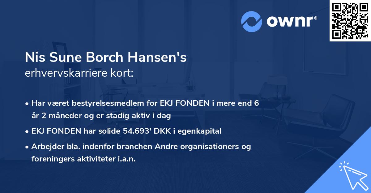 Nis Sune Borch Hansen's erhvervskarriere kort