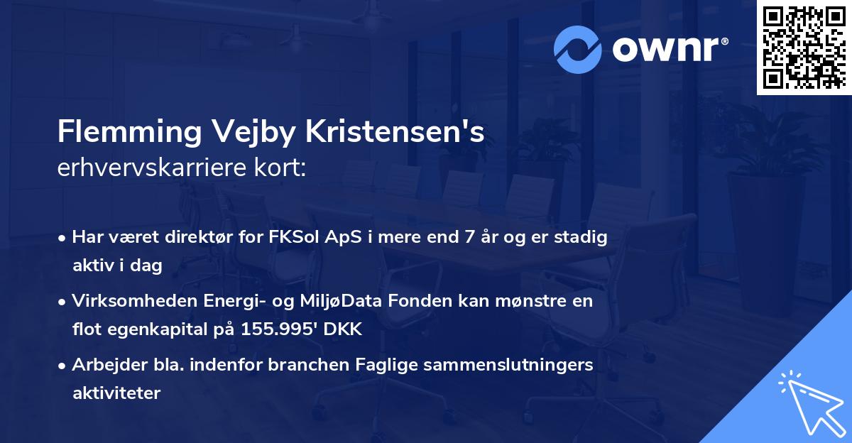 Flemming Vejby Kristensen's erhvervskarriere kort