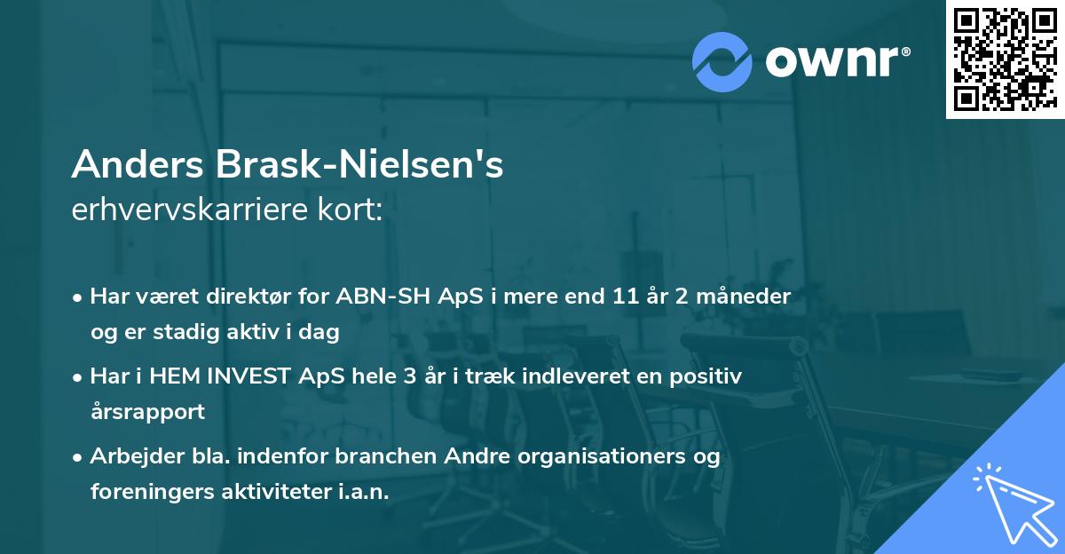 Anders Brask-Nielsen's erhvervskarriere kort