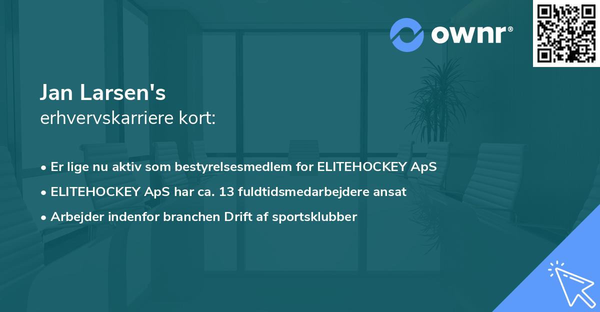 Jan Larsen's erhvervskarriere kort