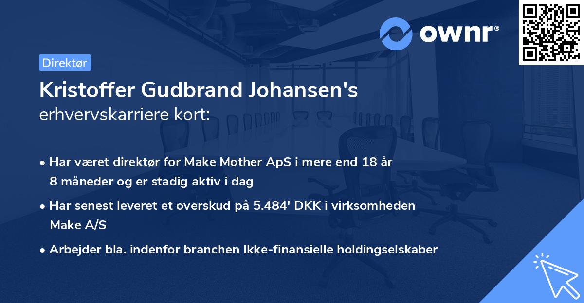 Kristoffer Gudbrand Johansen's erhvervskarriere kort