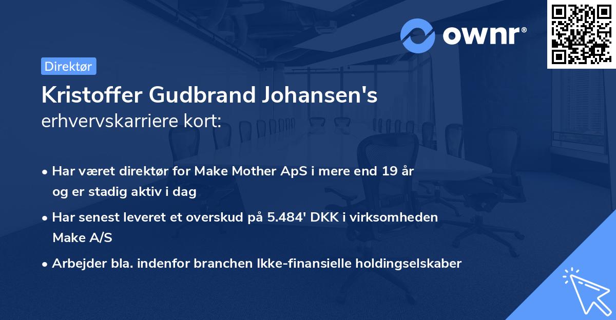 Kristoffer Gudbrand Johansen's erhvervskarriere kort