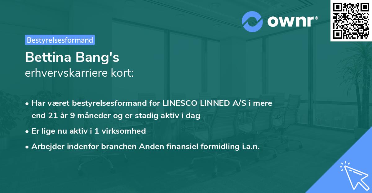 Bettina Bang's erhvervskarriere kort