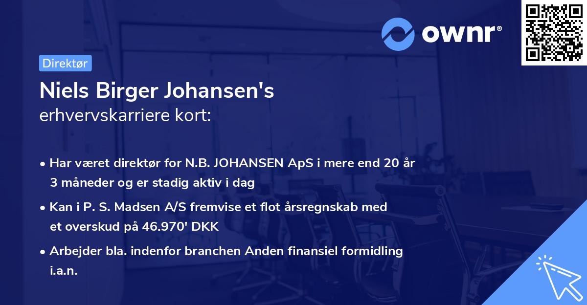Niels Birger Johansen's erhvervskarriere kort