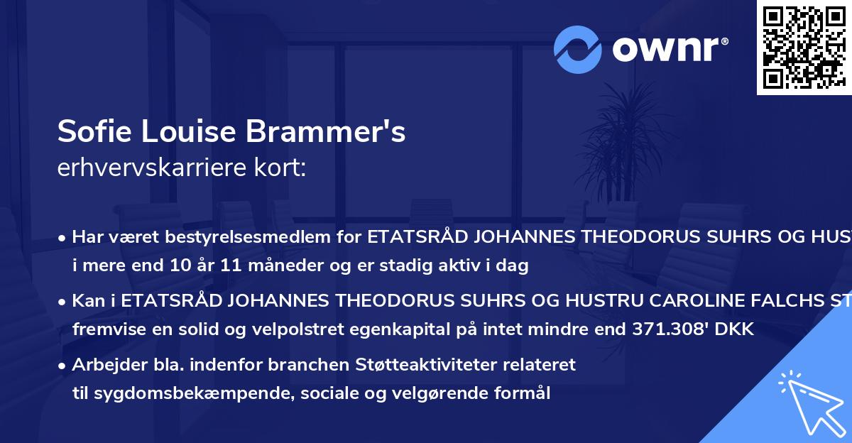 Sofie Louise Brammer's erhvervskarriere kort