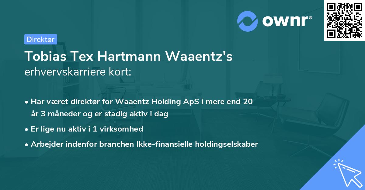 Tobias Tex Hartmann Waaentz's erhvervskarriere kort