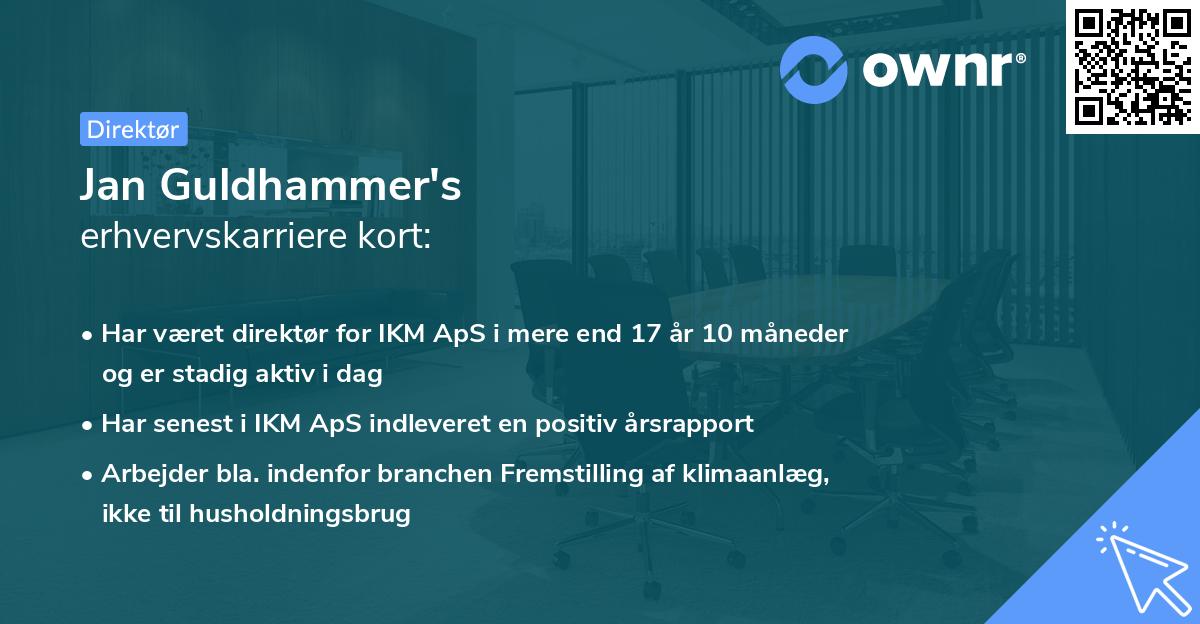 Jan Guldhammer's erhvervskarriere kort
