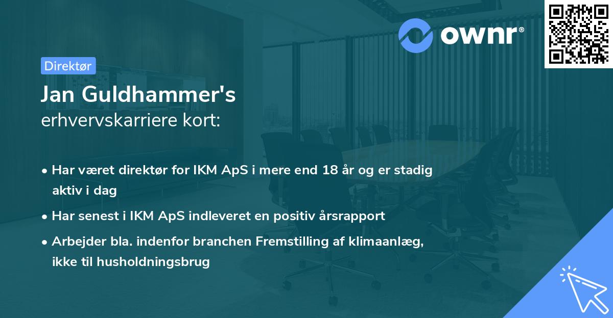 Jan Guldhammer's erhvervskarriere kort
