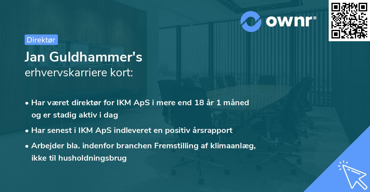 Jan Guldhammer's erhvervskarriere kort