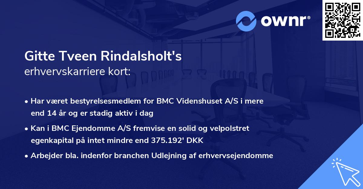 Gitte Tveen Rindalsholt's erhvervskarriere kort