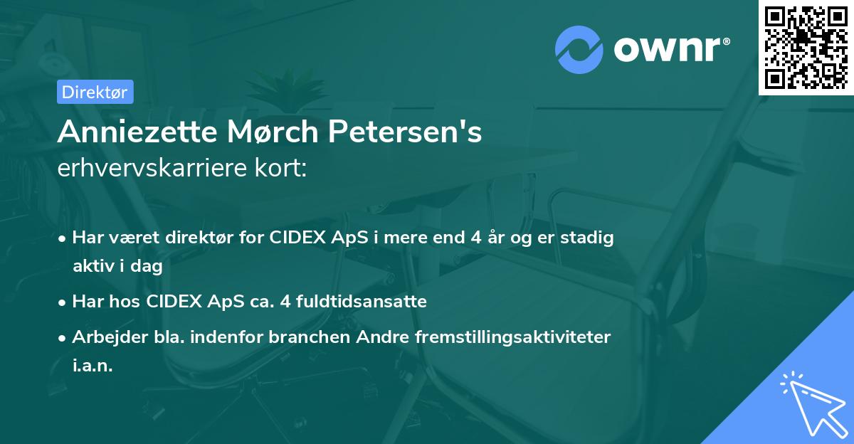 Anniezette Mørch Petersen's erhvervskarriere kort