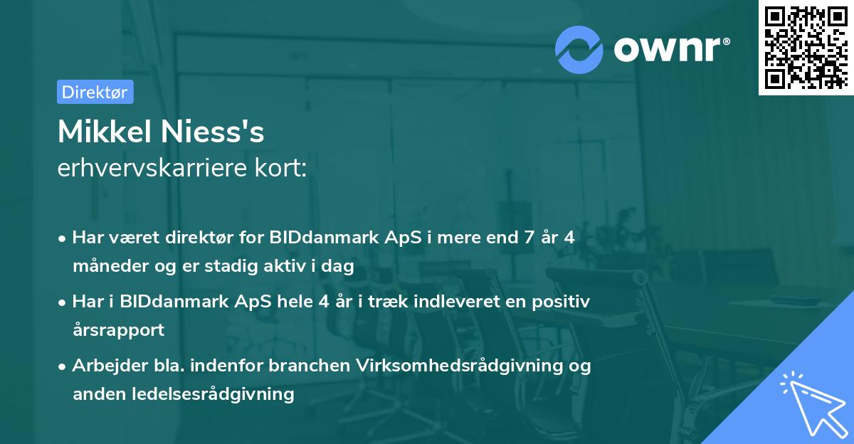 Mikkel Niess's erhvervskarriere kort