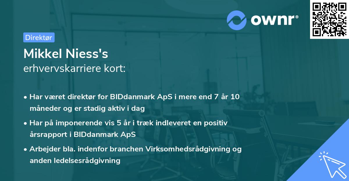 Mikkel Niess's erhvervskarriere kort