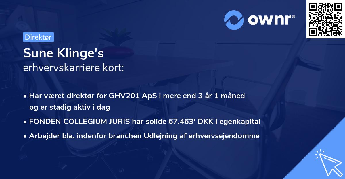 Sune Klinge's erhvervskarriere kort