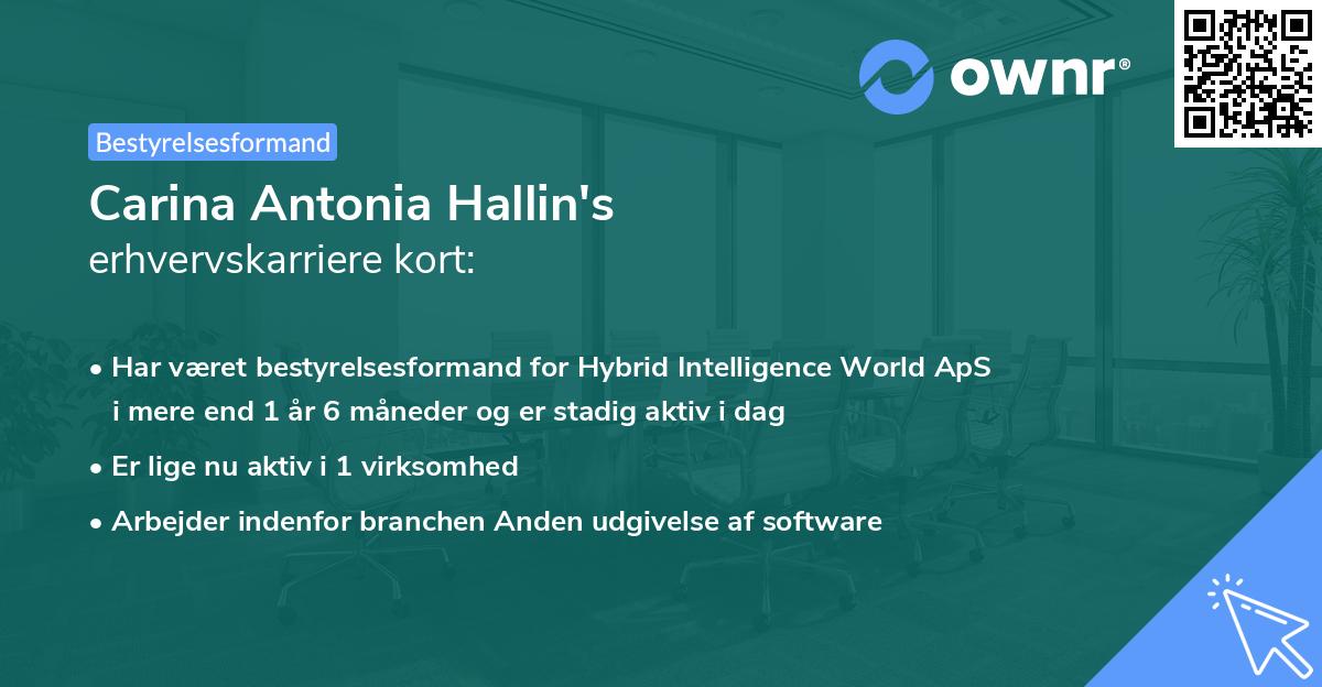 Carina Antonia Hallin's erhvervskarriere kort