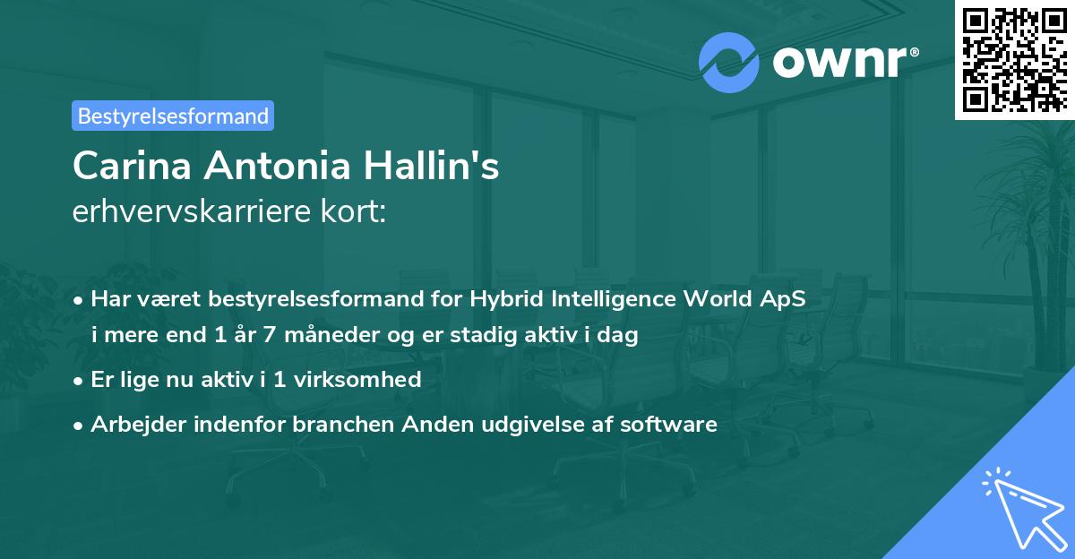 Carina Antonia Hallin's erhvervskarriere kort