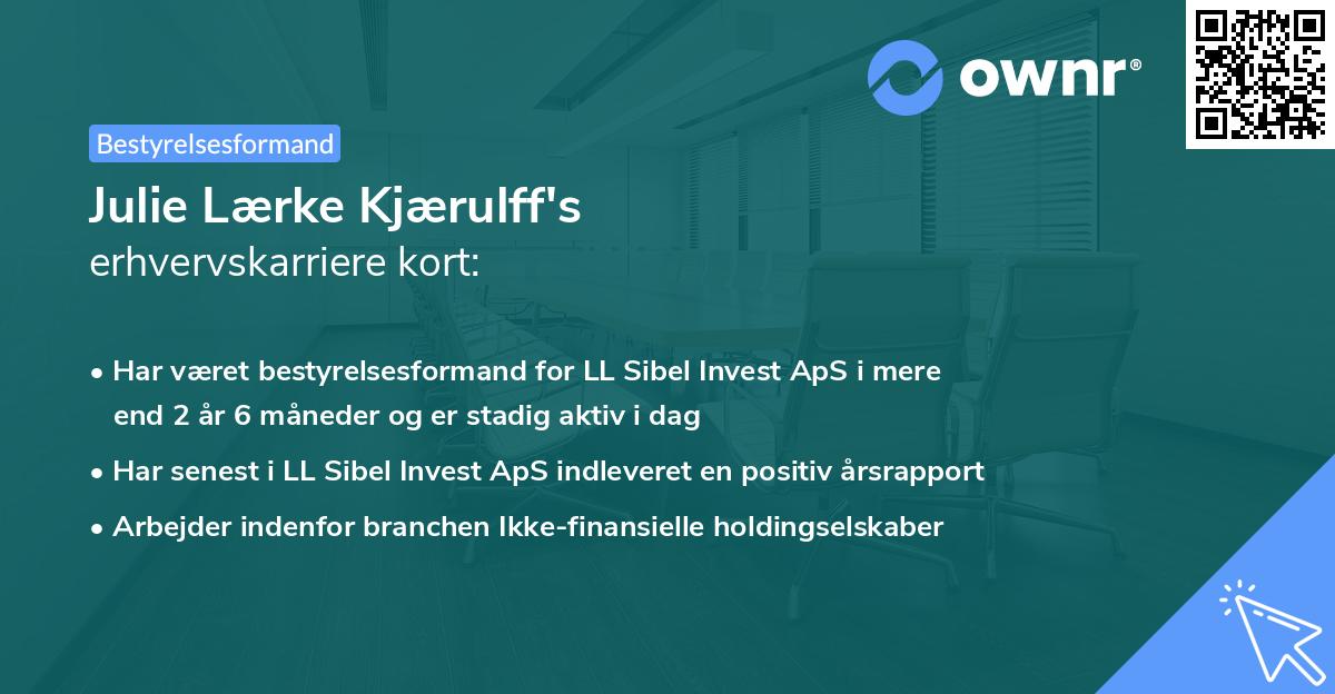 Julie Lærke Kjærulff's erhvervskarriere kort