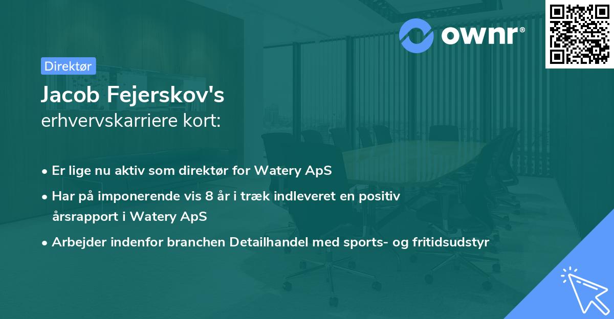 Jacob Fejerskov's erhvervskarriere kort