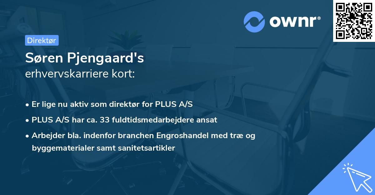 Søren Pjengaard's erhvervskarriere kort