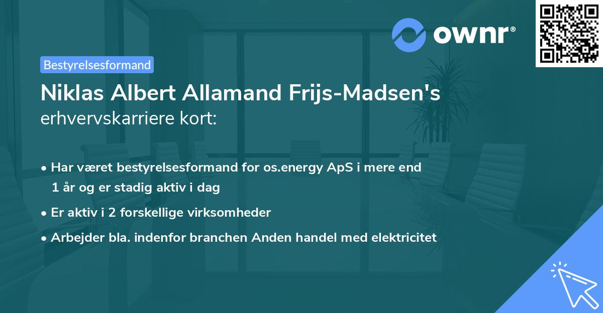 Niklas Albert Allamand Frijs-Madsen's erhvervskarriere kort