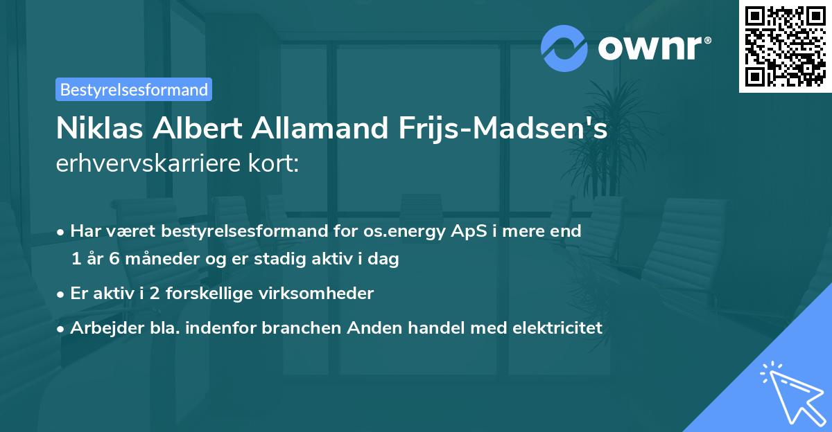Niklas Albert Allamand Frijs-Madsen's erhvervskarriere kort