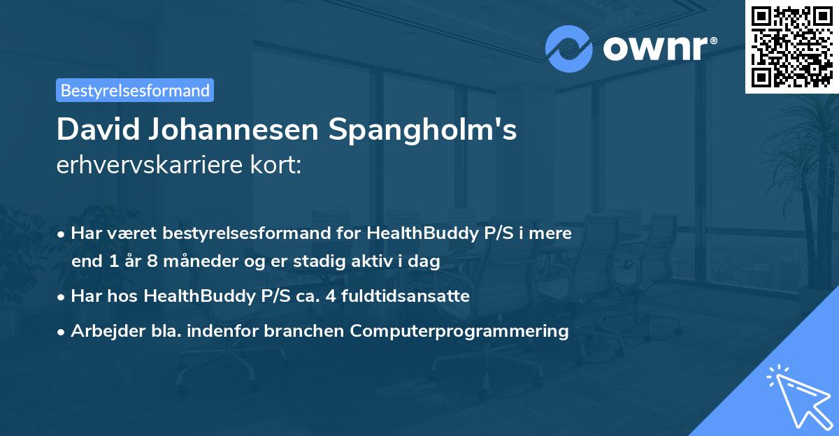 David Johannesen Spangholm's erhvervskarriere kort