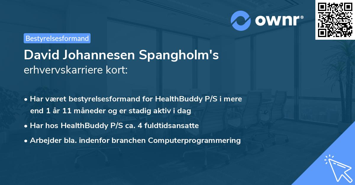 David Johannesen Spangholm's erhvervskarriere kort