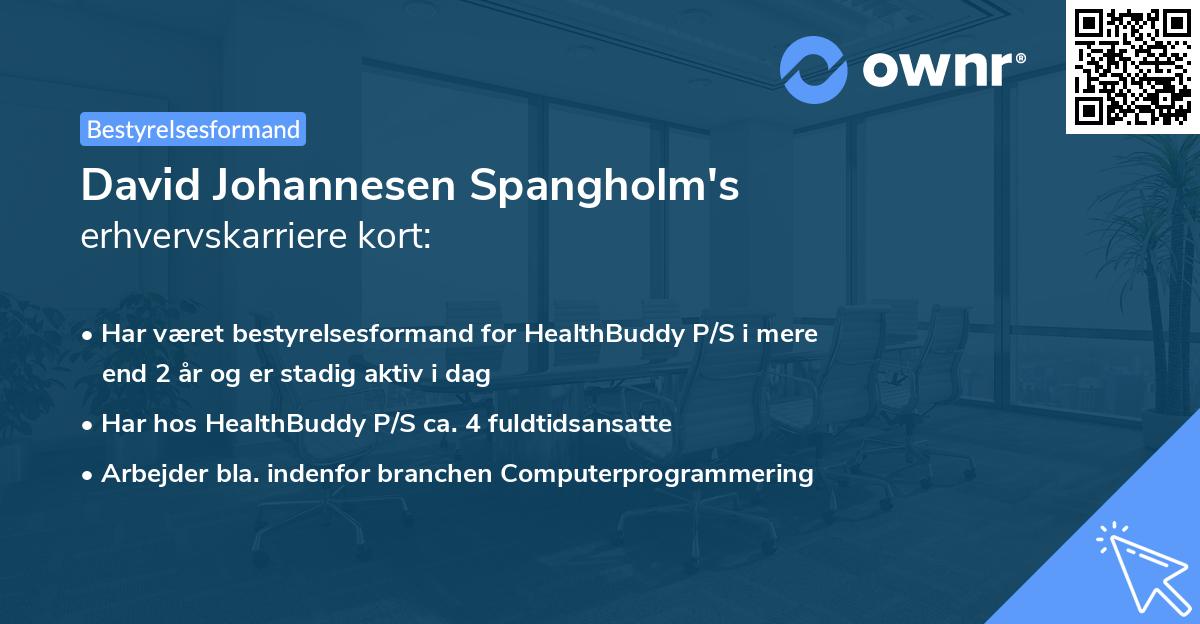 David Johannesen Spangholm's erhvervskarriere kort