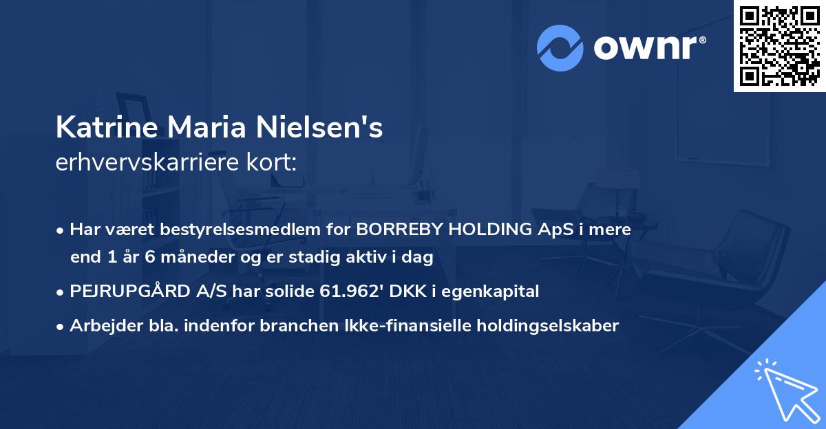 Katrine Maria Nielsen's erhvervskarriere kort