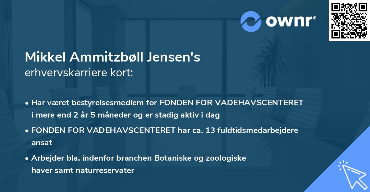 Mikkel Ammitzbøll Jensen's erhvervskarriere kort