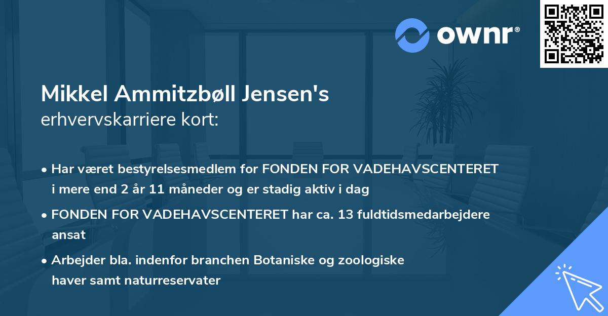 Mikkel Ammitzbøll Jensen's erhvervskarriere kort